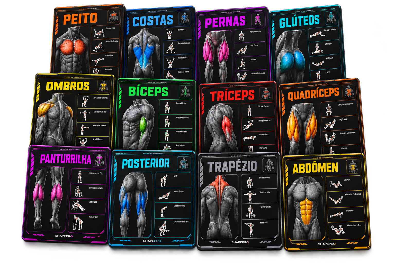 Coleção ShapePro com fichas coloridas de treino para diferentes grupos musculares